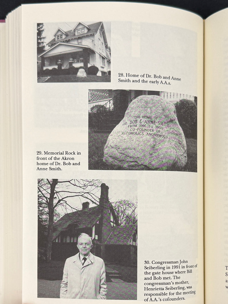 Sister Ignatia: Angel of Alcoholics Anonymous — Mary C. Darrah (1992)