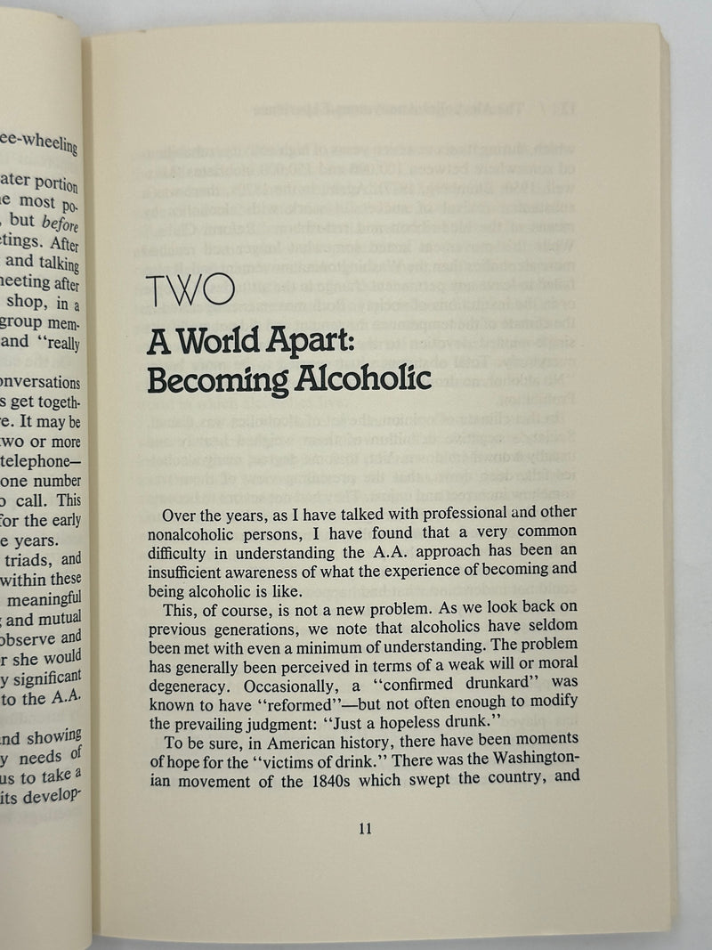 The AA Experience by Milton A. Maxwell