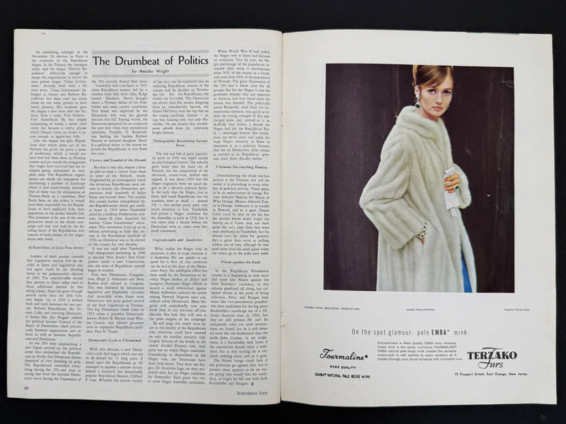 Suburban Life — November 1967 | Alcoholics Anonymous — an Alternate Approach