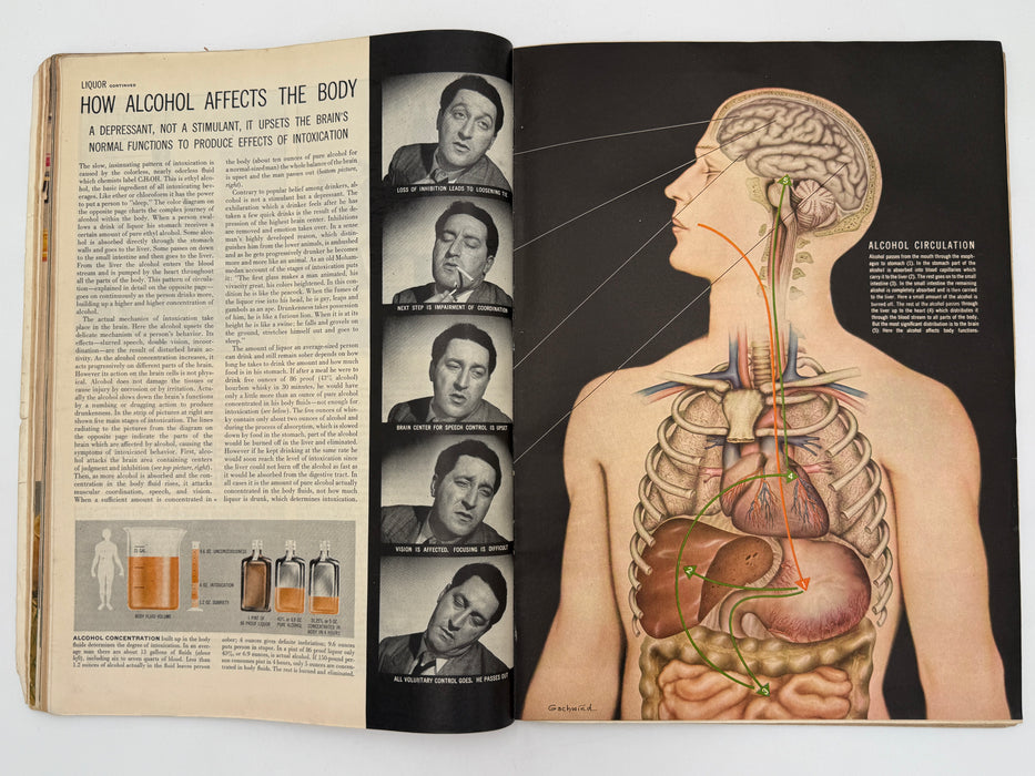 Life Magazine - May 27, 1946 - Liquor