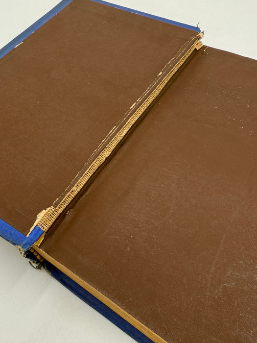 Woman to the Rescue: A Story of the New Crusade by T.S. Arthur