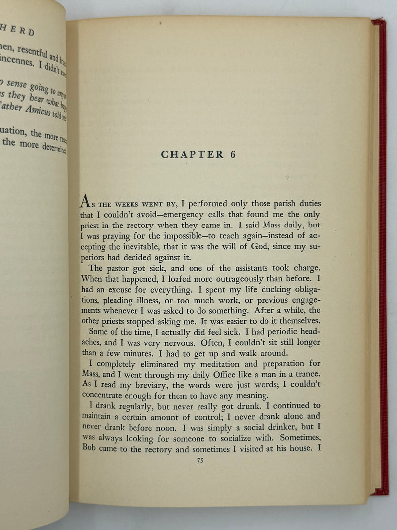 Prodigal Shepherd by Father John Doe and Al Hirshberg