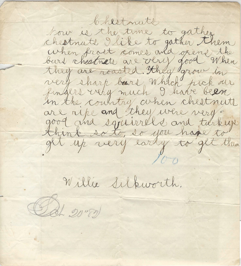 The William D. Silkworth Collection