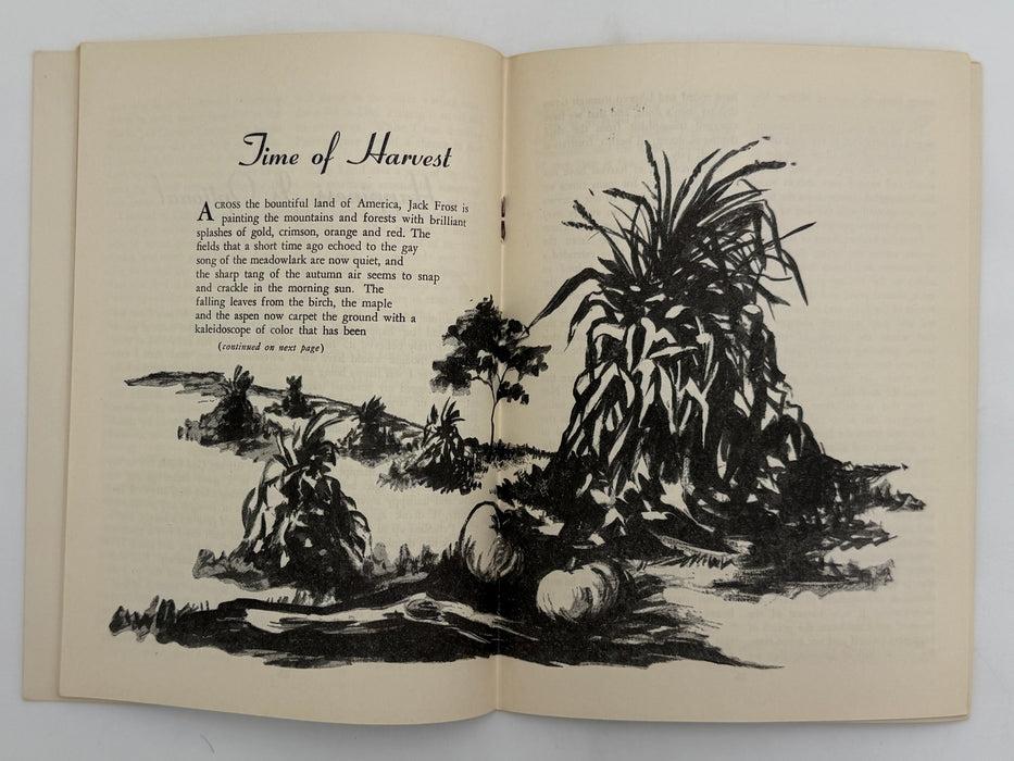 AA Grapevine from November 1955