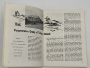 AA Grapevine - April 1968 Recovery Collectibles
