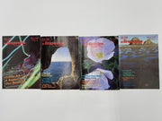 AA Grapevine - Complete Set of 1996 Recovery Collectibles