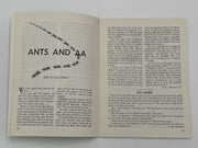 AA Grapevine - Temptation - August 1962 Recovery Collectibles