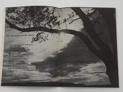 AA Grapevine - Temptation - August 1962 Recovery Collectibles