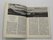AA Grapevine December 1978 Recovery Collectibles