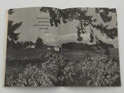 AA Grapevine May 1974 - Gossip Recovery Collectibles