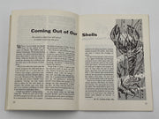 AA Grapevine October 1978 - Half-Truths Recovery Collectibles