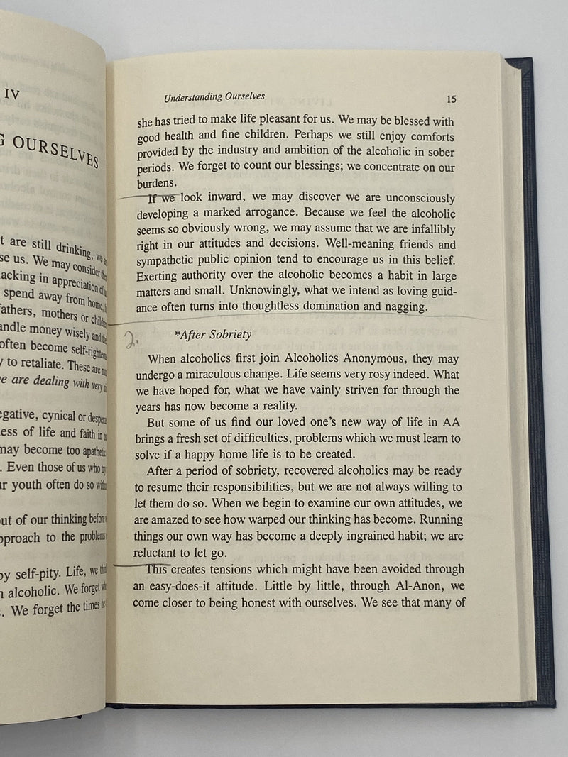 Living with an Alcoholic - Revised Expanded Edition - 11th Printing 1982 - ODJ Recovery Collectibles