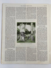 Saturday Evening Post - March 1, 1941 - Alcoholics Anonymous Recovery Collectibles